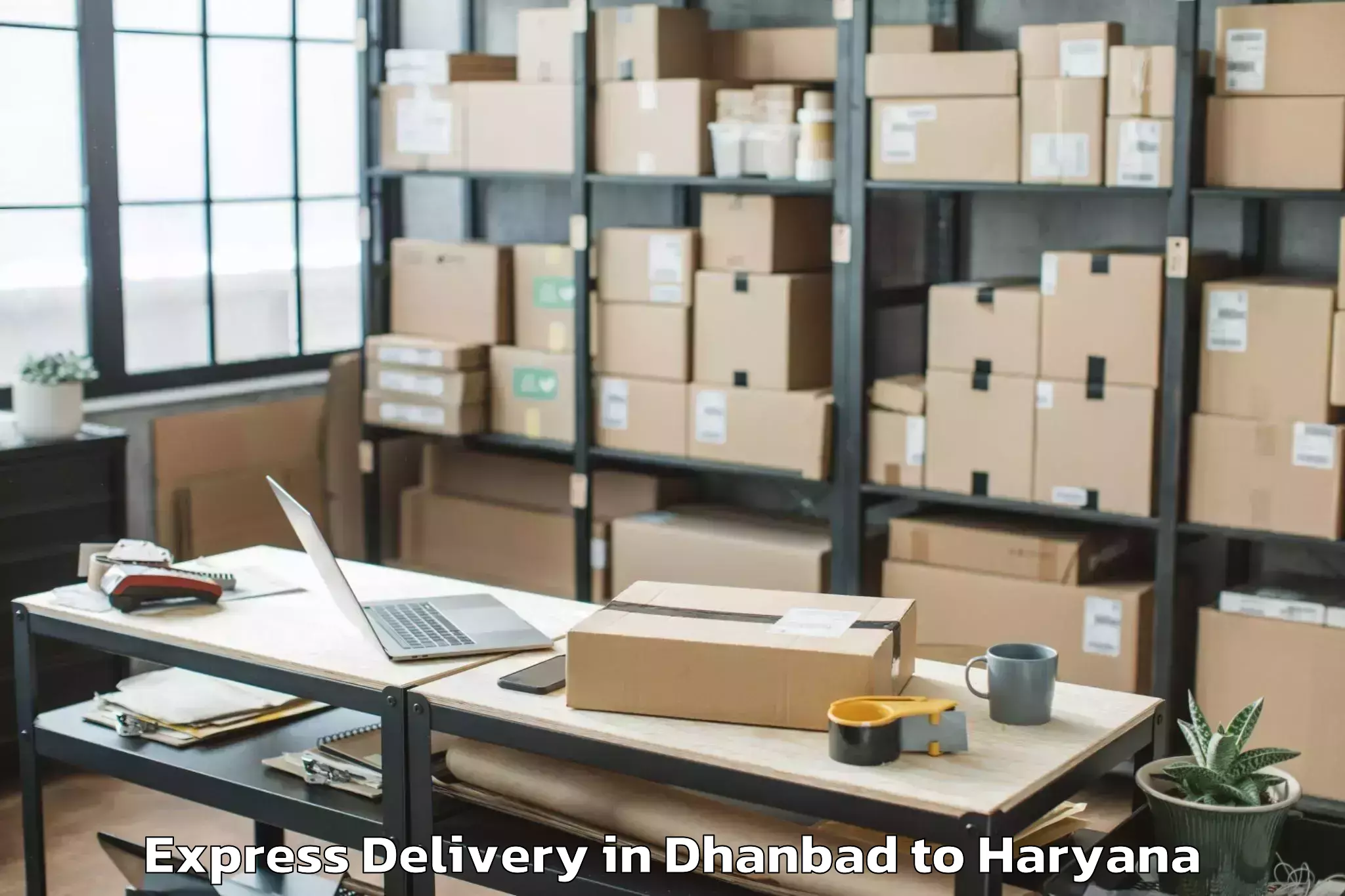 Expert Dhanbad to Sahara Mall Express Delivery